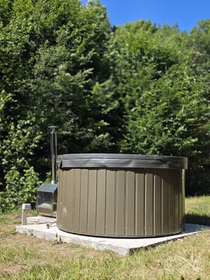 Property grounds - Mountain hut for rent (Chiuzbaia)