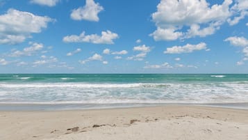 Playa en los alrededores