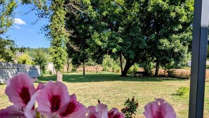 A garden with large trees and a grassy area.