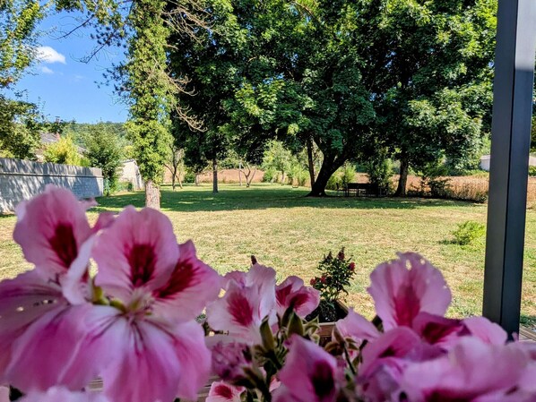 Property grounds - Charming home in Vignot - 3 bedrooms for family getaways (Vignot)