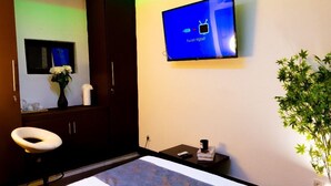 A hotel room with a bed, a TV mounted on the wall, a bedside table with a lamp, a chair, a mirror, and a potted plant. - The Pandora: Secure and stylish studio with sofa bed, WiFi, smart TV and tub (Yaoundé)
