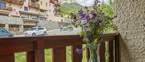 Terrain de l’hébergement 