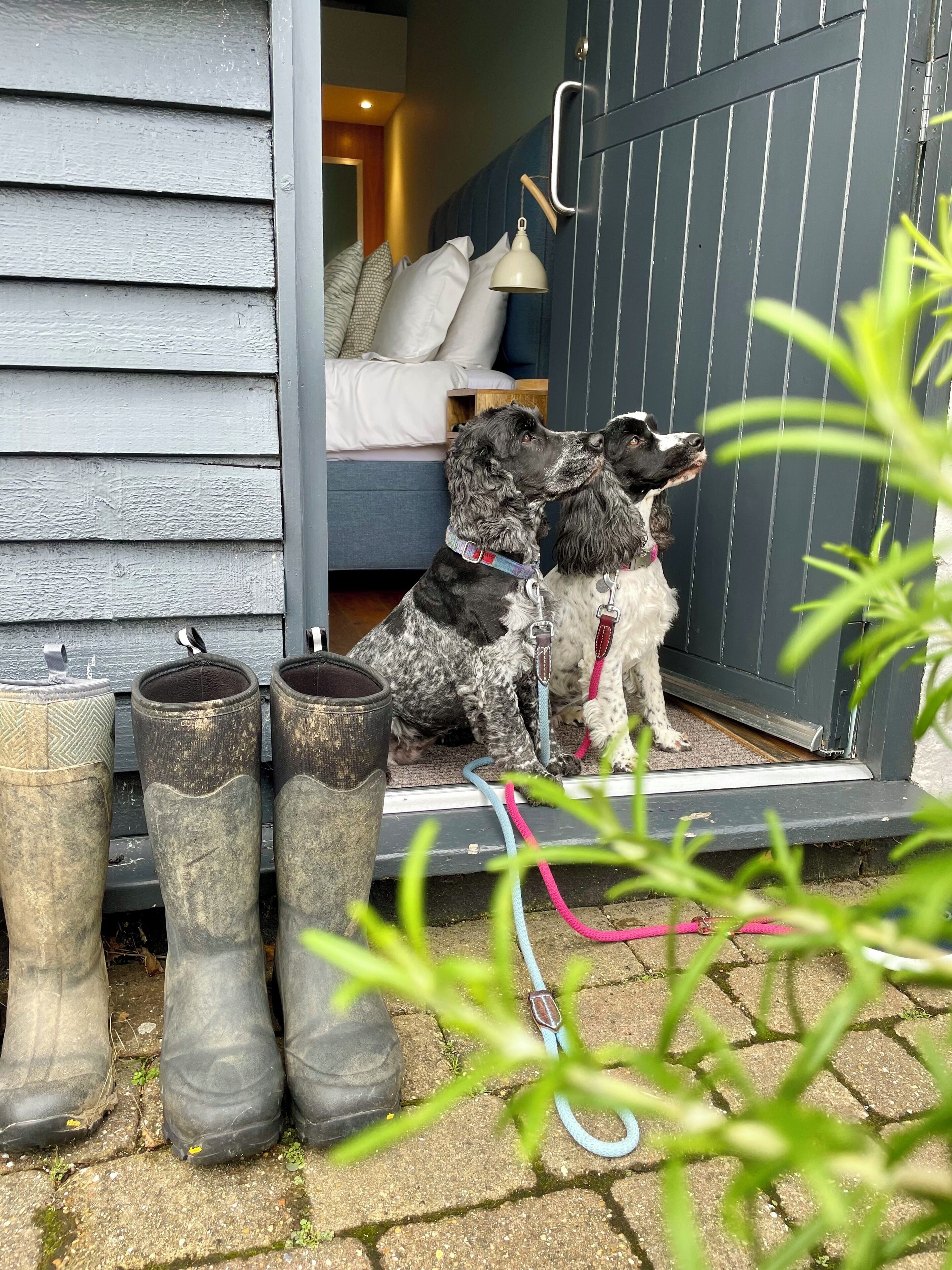Une niche pour chien avec un lit à l’intérieur, une porte et trois bottes à l’extérieur.