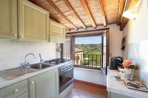 Appartamento, 1 letto matrimoniale, animali ammessi, vista giardino | Cucina privata