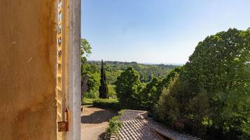 Land view from property