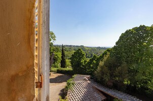 Vista dalla finestra su un giardino a terrazze, con cielo sereno.