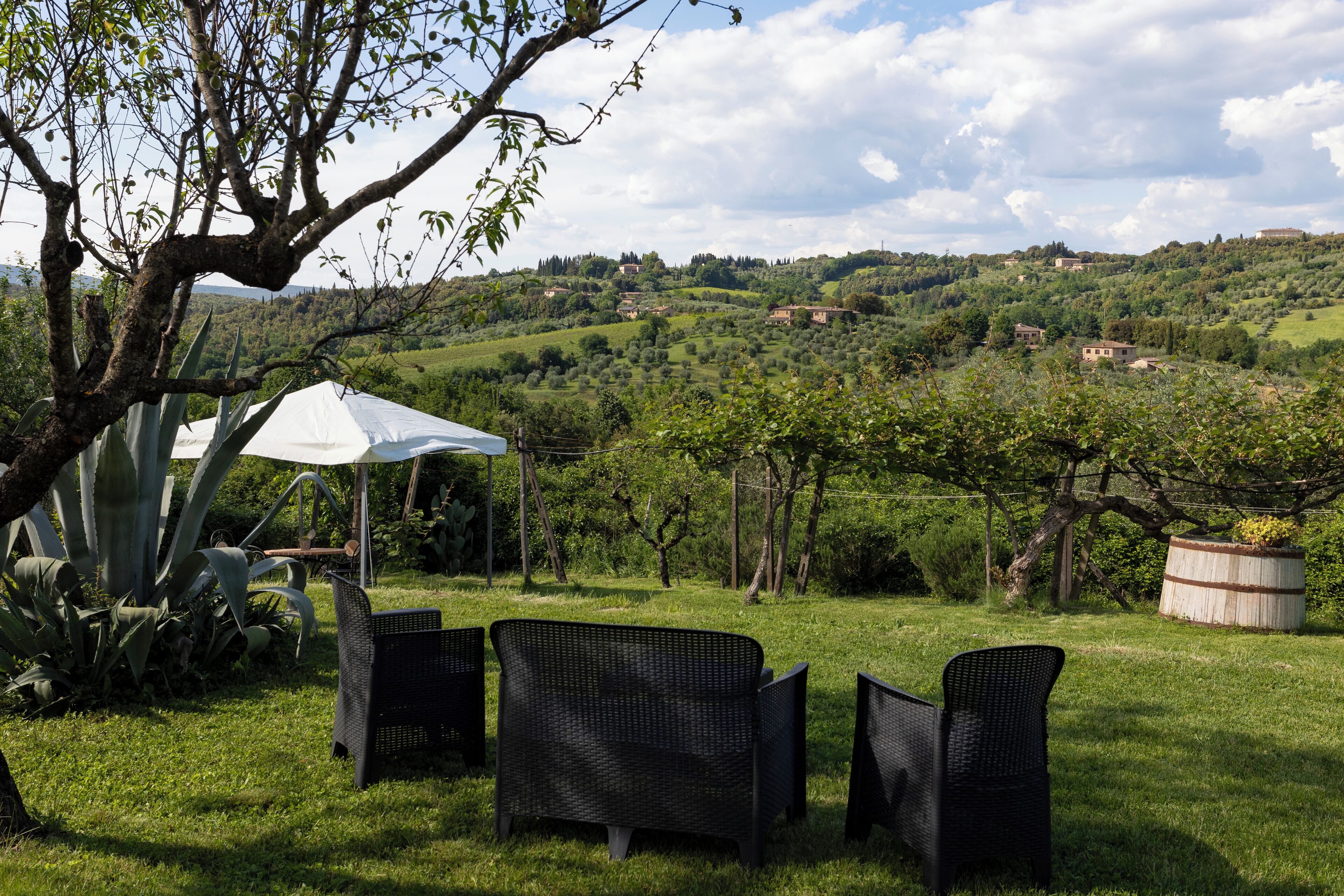 A grassy outdoor area with wicker chairs, a white umbrella, and a view of rolling hills in the background.