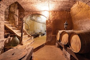 Una cantina con pareti in mattoni, botti di legno e una scala che conduce a un livello superiore.
