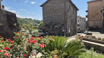 Área da propriedade