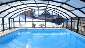A transparent greenhouse structure with a swimming pool, potted plants, and a view of a snowy mountain.