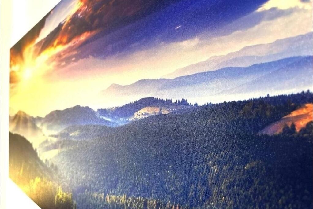A panoramic view of a mountainous landscape with a forested valley.