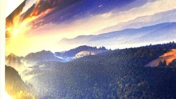 A panoramic view of a mountainous landscape with a forested valley.