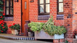 Une maison en briques avec une porte en bois, deux fenêtres et un petit porche agrémenté de plantes en pot.