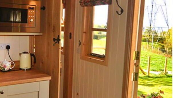 Een houten interieur met een keukenhoek, een deur die naar buiten leidt, en een raam met uitzicht op de omgeving.
