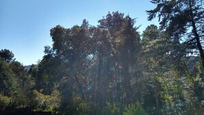 A view of a forested area with a clear sky. - Chalé Topázio (Monte Verde)