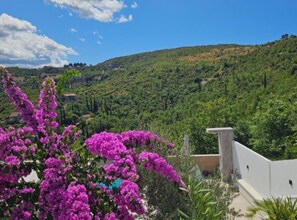 Vila (Six Bedroom Villa) | Fachada