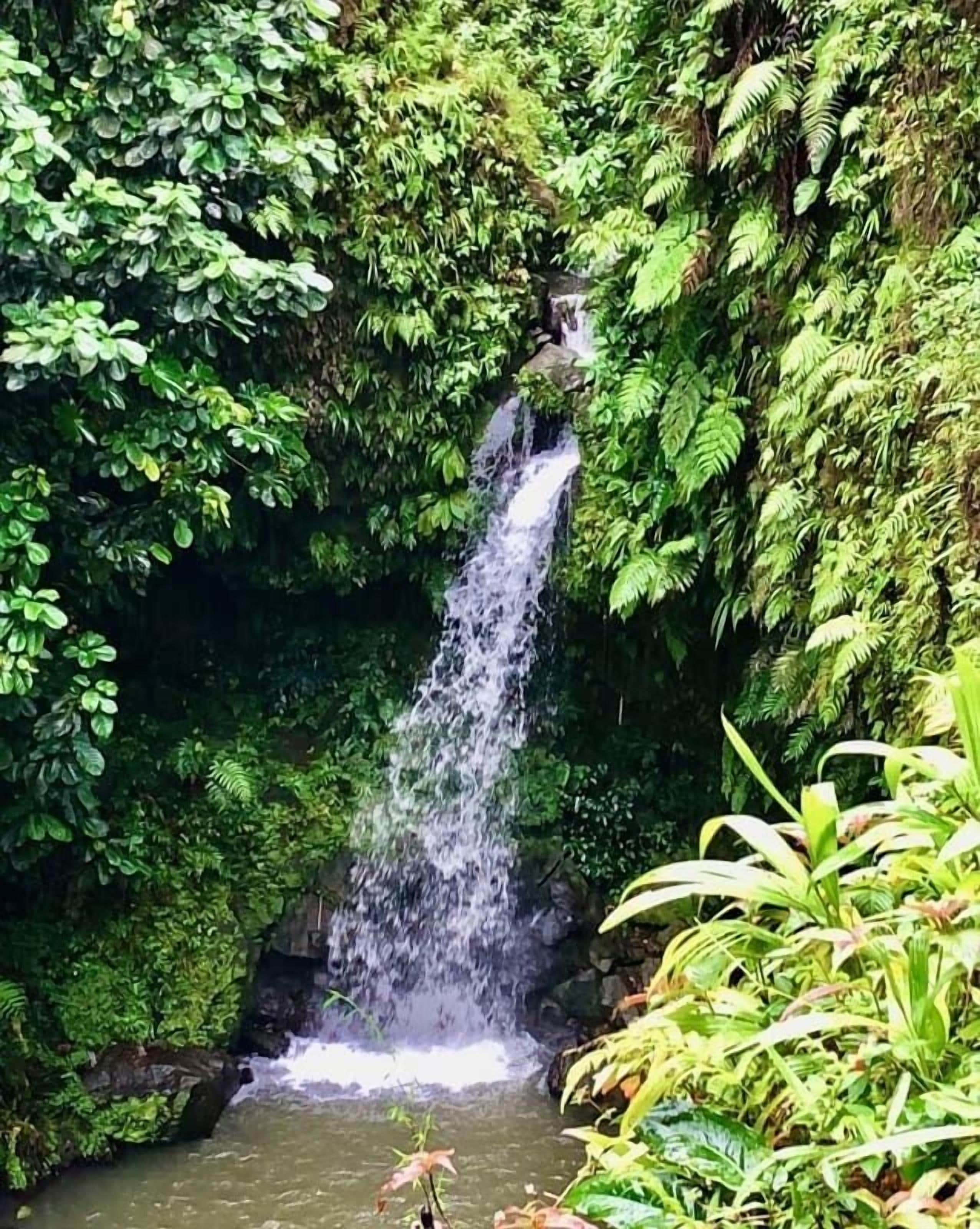 Photo - Ocean Oasis Hotel Dominica