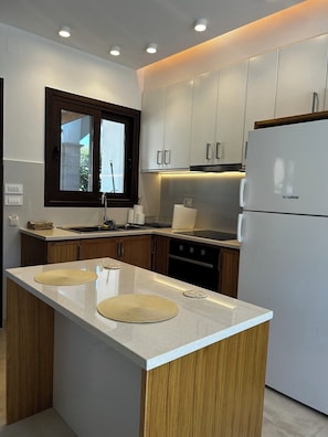Fridge, oven, stovetop, coffee/tea maker