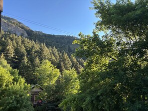 Mountain view with forest and cliffs