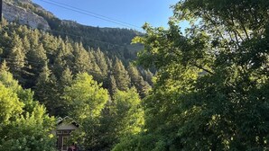 A forested area with a small building, possibly a cabin or lodge, surrounded by dense trees and a mountain in the background. - Chic Mountain Loft • Breathtaking Views (Provo Canyon)