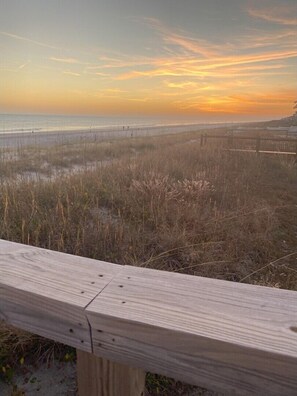 Property grounds - Coastal Serenity, Oceanfront, Dog-Friendly, Sleeps Up to 10 (Emerald Isle)