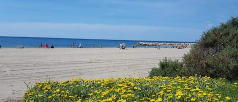 Mobile Home | Vue depuis lâhĂ©bergement