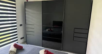 Beautiful room on garden level between vineyards and Colmar