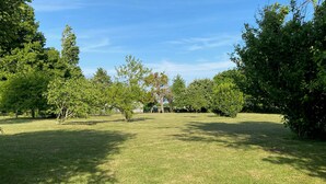 Un champ verdoyant, parsemé d’arbres, sous un ciel dégagé.