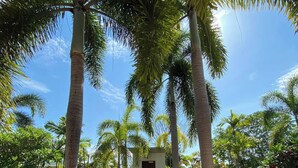 Unclassified image, 4 of 43, button - Tropical Luxury 4BR Pool Villa w Game Area (Pattaya)