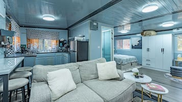 Smart TV, fireplace, books