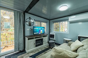 Smart TV, fireplace, books