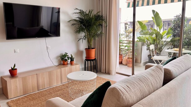 Een moderne woonkamer met een flatscreen televisie, een bank, een salontafel en een grote potplant.