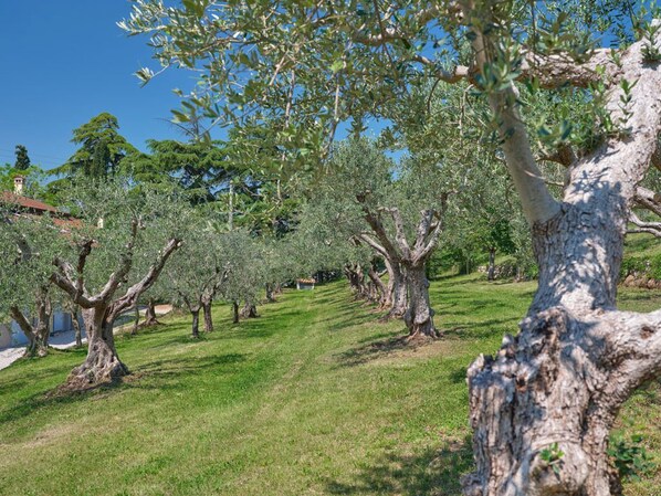 Áreas de la propiedad