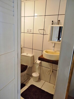 Bidet, towels, toilet paper