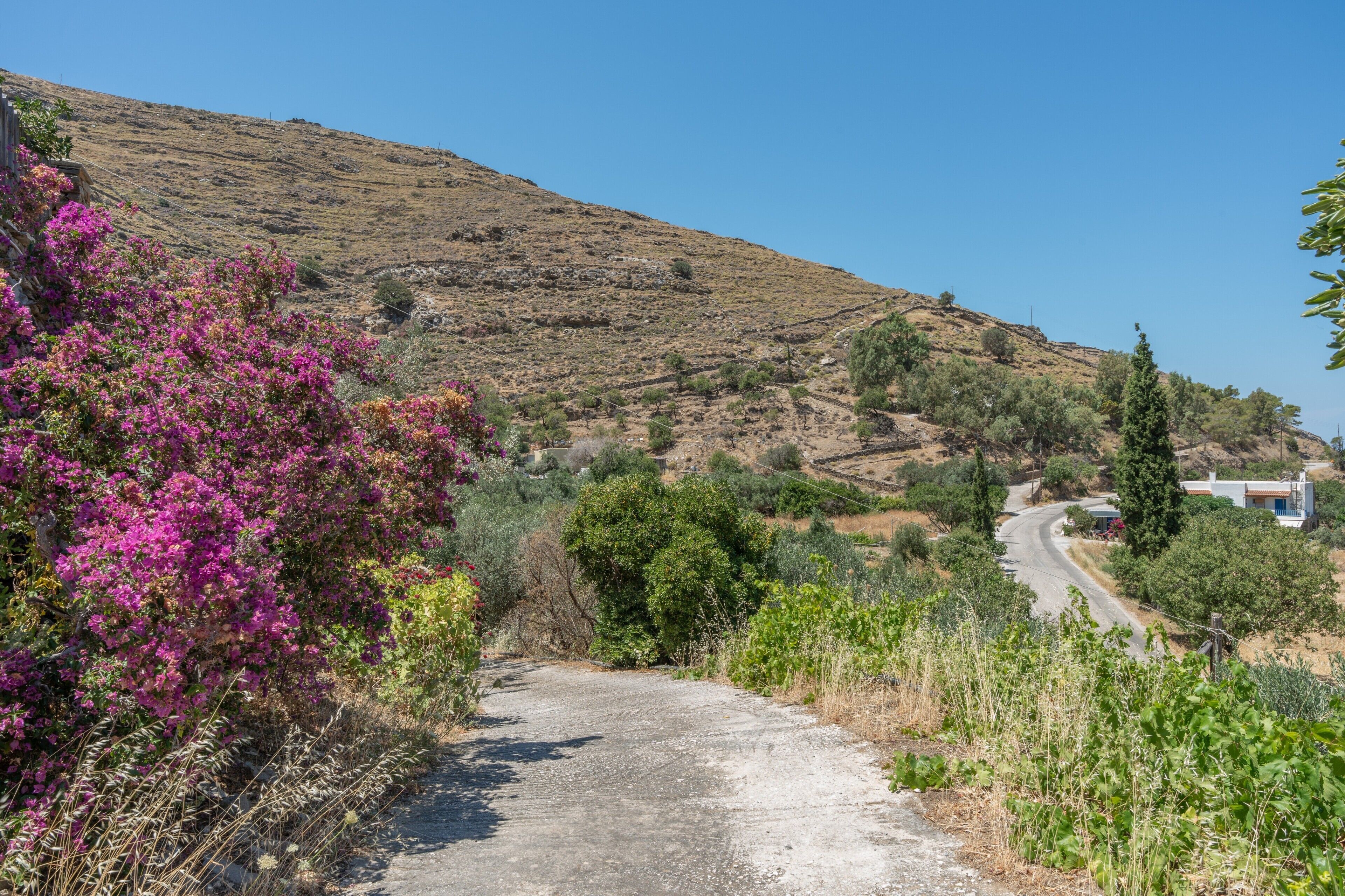 A rural road with a dirt path, surrounded by vegetation and a hilly landscape.