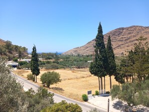 A rural landscape with a road, trees, and a distant view of a hilly area.