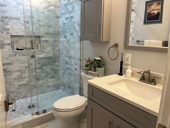 Shower, hair dryer, towels