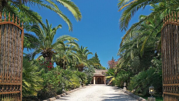 A pathway leading to a building surrounded by palm trees and a clear blue sky. - LES PALMERES (LLEIDA). Quite and peaceful (Pollensa)