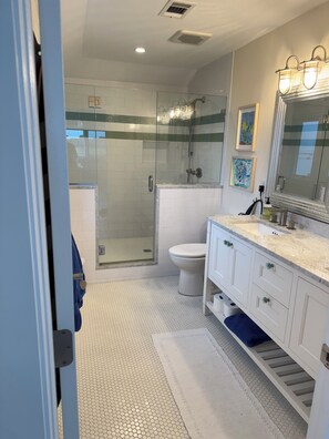 Hair dryer, towels, soap, toilet paper