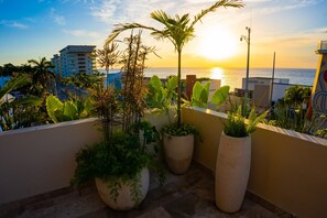 Eine Dachterrasse mit Blumentöpfen, Blick aufs Meer und im Hintergrund ein Gebäude mit der Aufschrift 'ANTINA 101'.