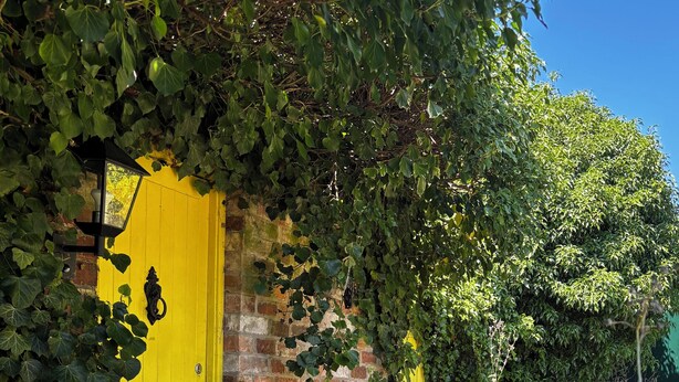 A yellow door with a black handle, surrounded by greenery and a brick wall. - Leaf Retreat - A Rest in Nature. Pet-friendly! (Louth)