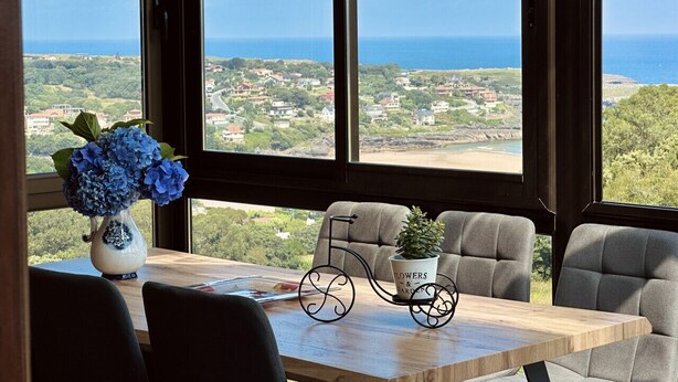 A table with a vase of blue flowers, a potted plant, and a decorative bicycle. - La Atalaya del Cabo - 4800 (Arnuero)