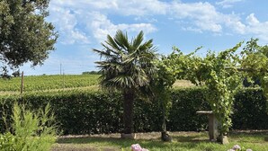 A garden with a palm tree, flowering plants, and a hedge. - La Atalaya del Cabo - 4800 (Arnuero)
