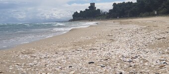 Relax e mare vicino al Cerrano