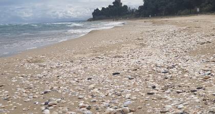 Relaxation and sea near Cerrano