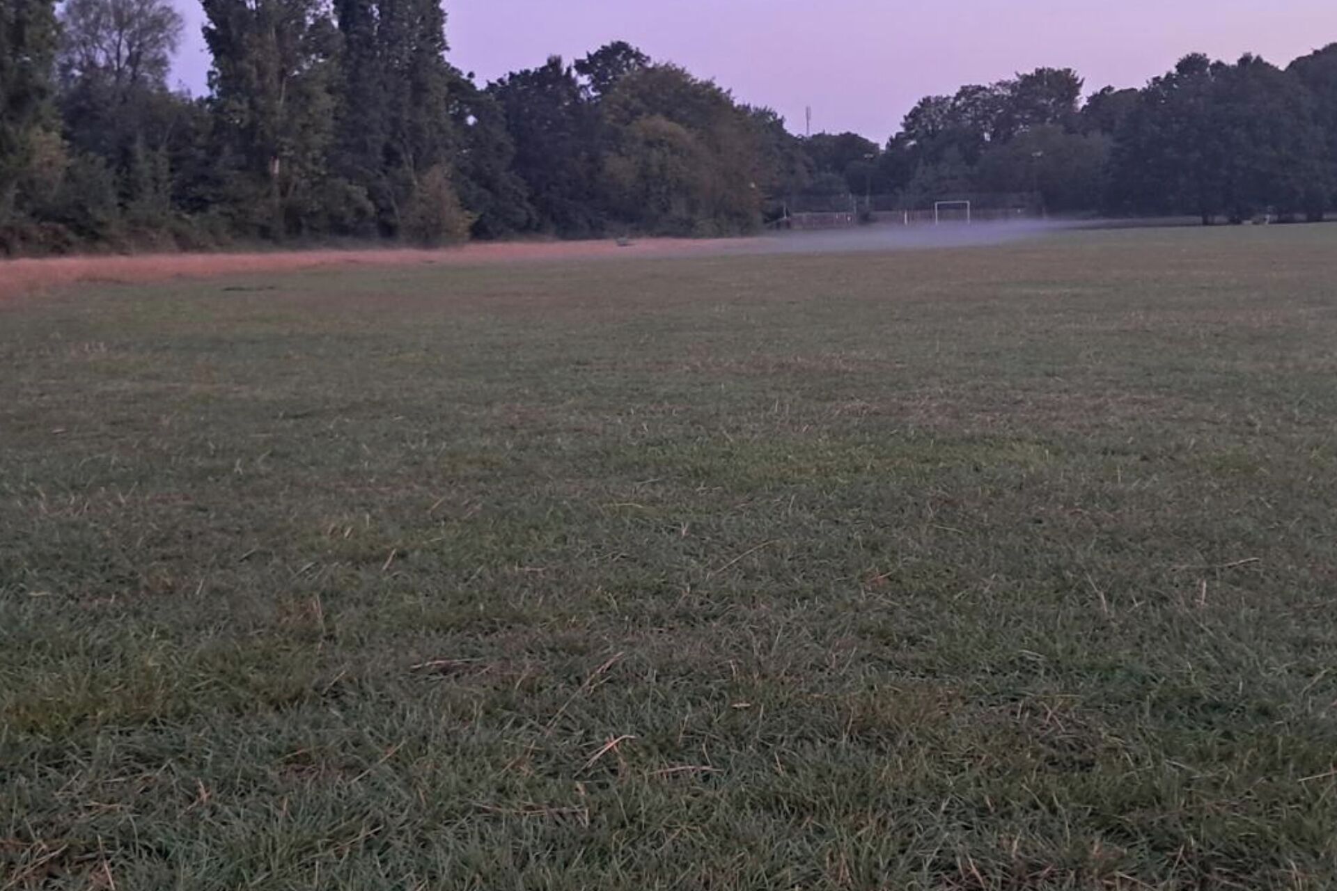 Un campo extenso y cubierto de hierba, con un arco de fútbol a lo lejos.