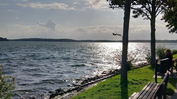 A bench by a lakeside path with a rocky shoreline and trees. - Vacation home Kleine Einkehr - comfortable & quiet in Waren (Müritz), with balcony (Waren (Müritz))