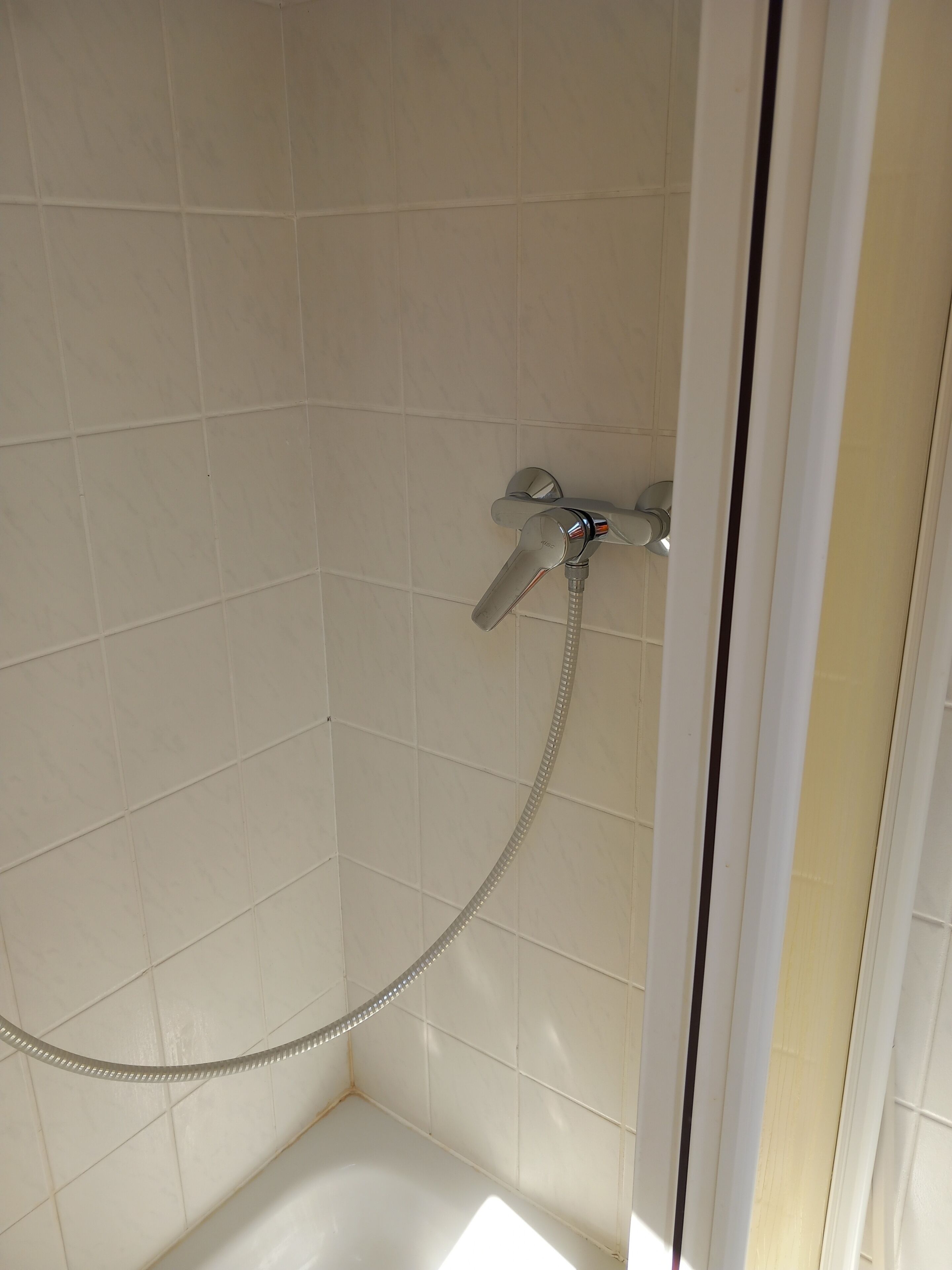 Eine Dusche mit Handbrause und flexiblen Schlauch.