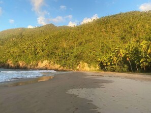 Shared Dormitory, 1 Bedroom, Smoking, Balcony | Beach - Room-bed, Breakfast and Vibe (Samaná)