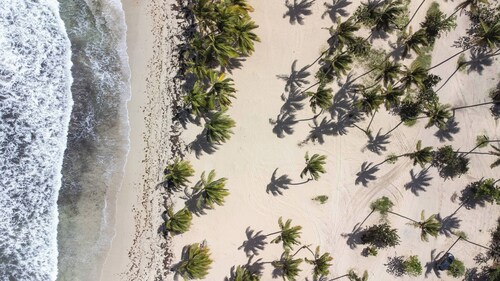 Room-bed-breakfast Lunch Tropical Priva